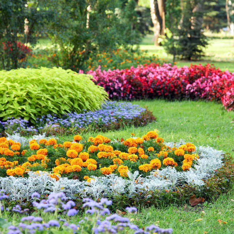Landscaping services in Rogers, AR Landscaping services in Rogers, AR